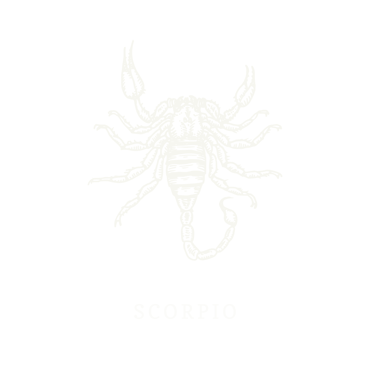 Símbolo do signo de Escorpião, ilustração em linework